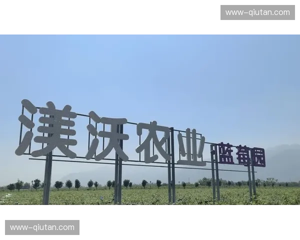 西安票务逻辑迁移，咸阳渭南联办赛事实现身份链上统一校验。